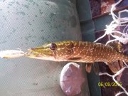 100_9317.JPG