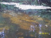 100_9318.JPG