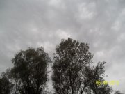 100_9323.JPG