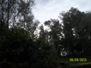 100_9324.JPG