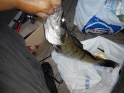 2015908191426.jpg