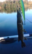 IMG_20150916_064617.jpg