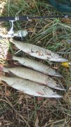 20151002_134813.jpg