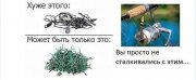 прикол.jpg