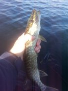 20151017_101920.jpg
