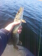 20151017_101908.jpg