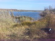 20151017_124310.jpg