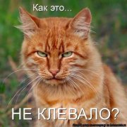 не клевало.jpg
