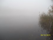 100_9591.JPG