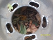100_9606.JPG