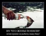 97.jpg