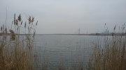 20151103_082053.jpg
