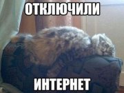 1446763726_prikoly-na-pyatnicy-1.jpg