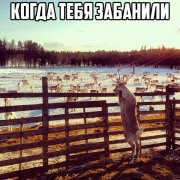CKhqAhUWsAAf6rf.jpg