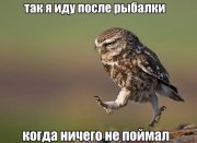 zLSE_gXxQwo.jpg
