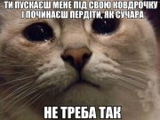 KmTZMDazzM4.jpg