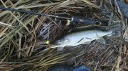 IMG_20151128_131930.jpg