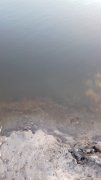 20151128_151559.jpg