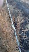 20151128_151657.jpg