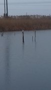 20151129_085051.jpg