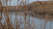 20151129_091306.jpg