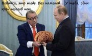 1449257792_korona2.jpg