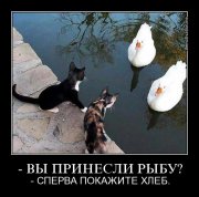 c38t3mipyk22.jpg