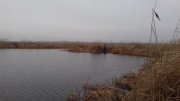 20151206_075648.jpg