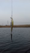 20151206_112012.jpg