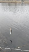20151207143911.jpg