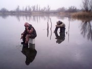 IMG0347A.jpg