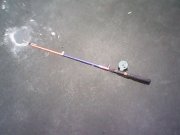 IMG0348A.jpg