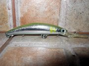 IMG_7675.jpg