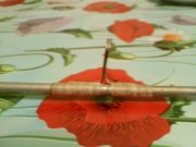 160101_195221.jpg