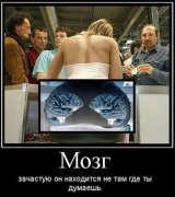 Мозг.jpg