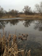 IMG_0224.JPG