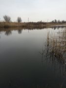 IMG_0226.JPG
