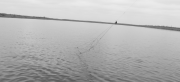 P1110265.png