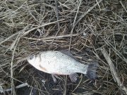IMG_20150304_093241.jpg