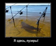 image-cd0cc7f0925e7219eb8683896e4ded86a867db1fd00a36a592aae69072d021e0-V.jpg
