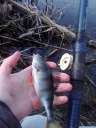 IMG_20160310_102826.jpg