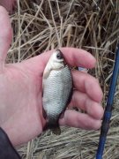 IMG_20160310_132623.jpg
