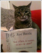 Снимок.PNG