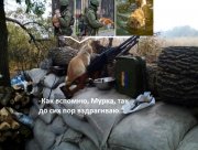 18092e07cfb8.jpg