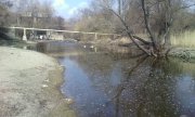 IMG_20160322_101619.jpg