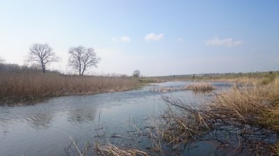 DSC_0860.JPG