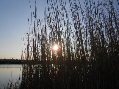 DSCN2761.JPG