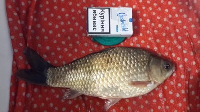 20160501_205921-min.jpg