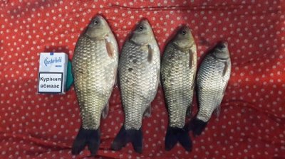 20160501_205833-min.jpg