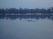 DSC04550.jpg